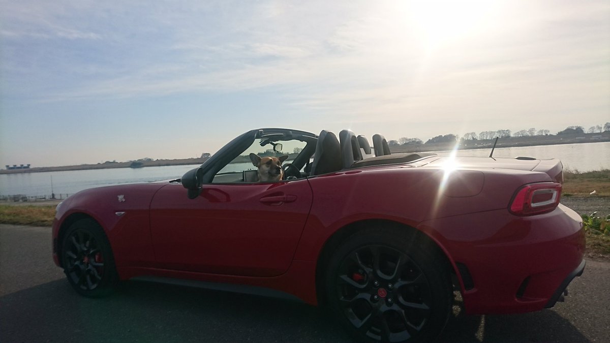 犬バカライダー Gsr 冬が本番 犬とオープンカー 相棒アバルト 124spider