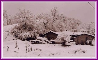 적과 화해하는 것보다
적을 만들지않는게 더지혜롭다.
용서를 비는것보다
잘못을 하지않는게 더현명하다.
후회하는 것보다
후회할 일을만들지않는게 더지혜롭다.
환경을 탓하는 것보다
환경을 개척하는 사람이 더 현명하다.