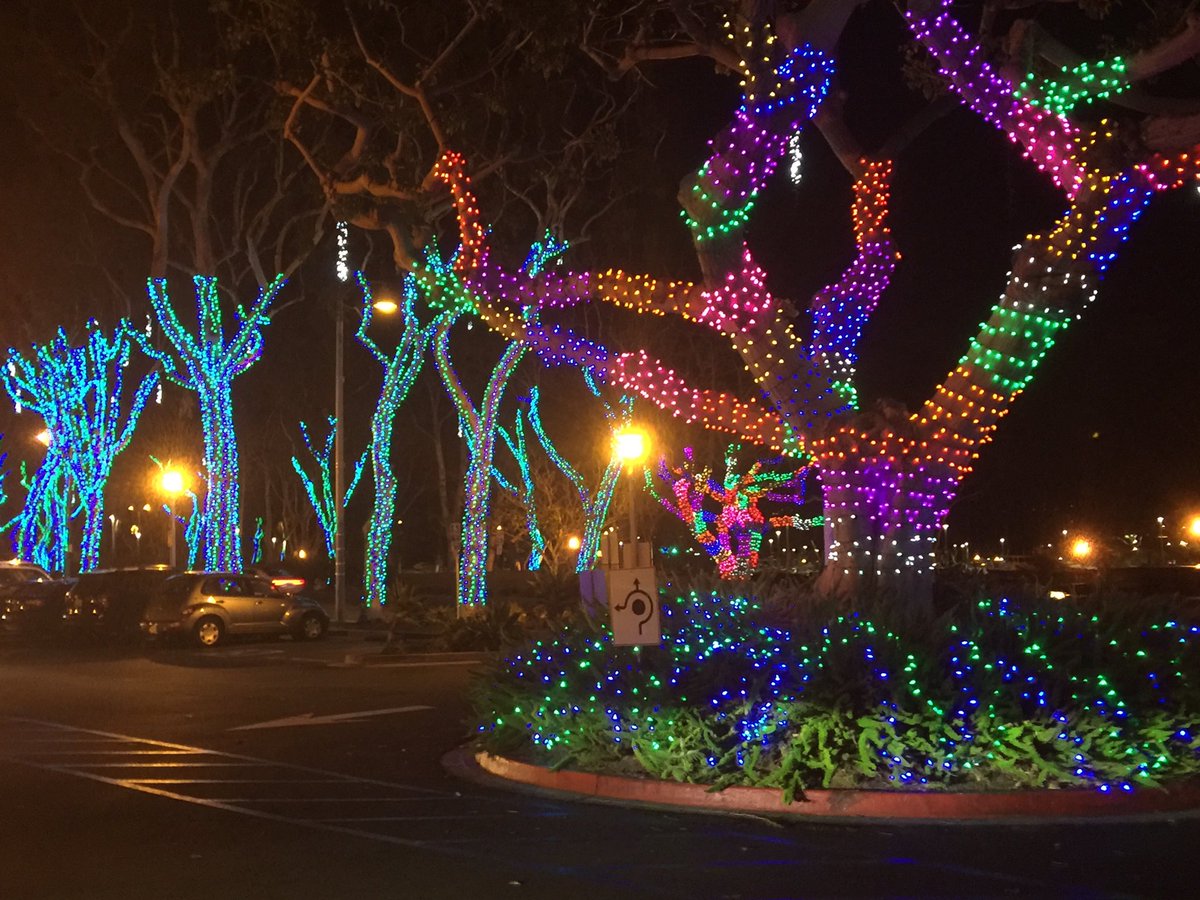 mobryan2's tweet image. Christmas @DanaPointHarbor, the lights are glorious this year!