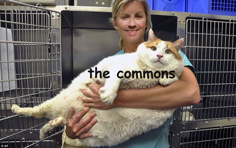 NobFightClub's tweet image. #McCaffreyFightsThings #CraigMcCatrey