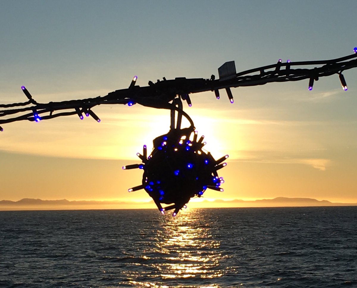 iberqui's tweet image. 