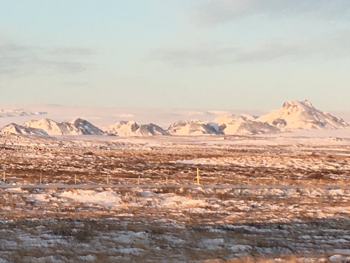 iberqui's tweet image. 