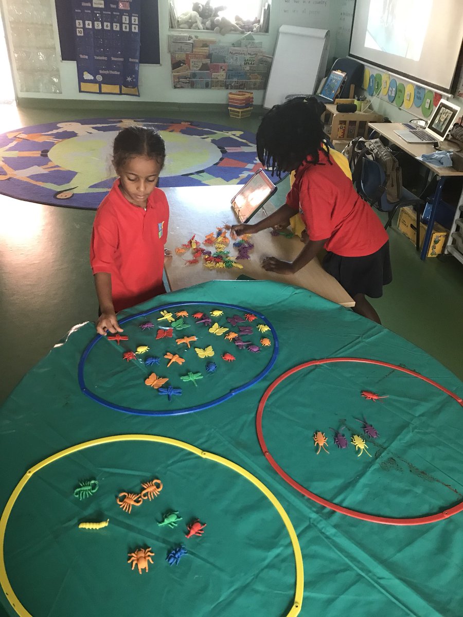 KICSprimary's tweet image. Well done Reception children - what a fantastic mini beast exhibition #kicslearns