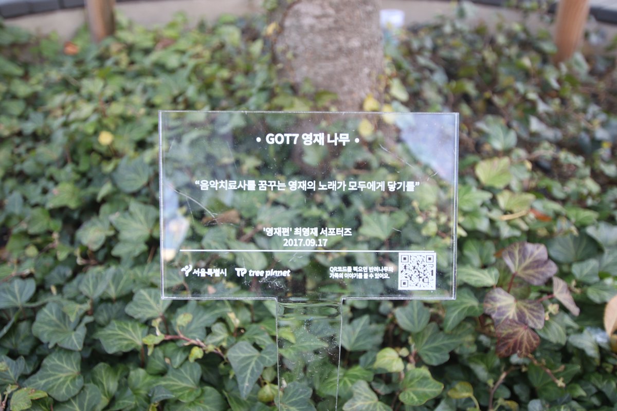 억만겹의 사랑을 담아 영재에게😘
늘 변함없이 그 자리를 지키는 나무처럼, 갓세븐 영재의 꿈을 응원하고 함께합니다!
<a href="/CYJsupporters/">최영재 서포터즈</a> <a href="/GOTYJ_Ars_Vita/">N</a> #트리플래닛 #반려나무 #treeplanet