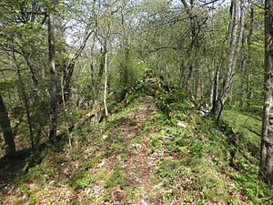 Burgruine Hohengenkingen cojote-outdoor.de/burgruine-hohe…