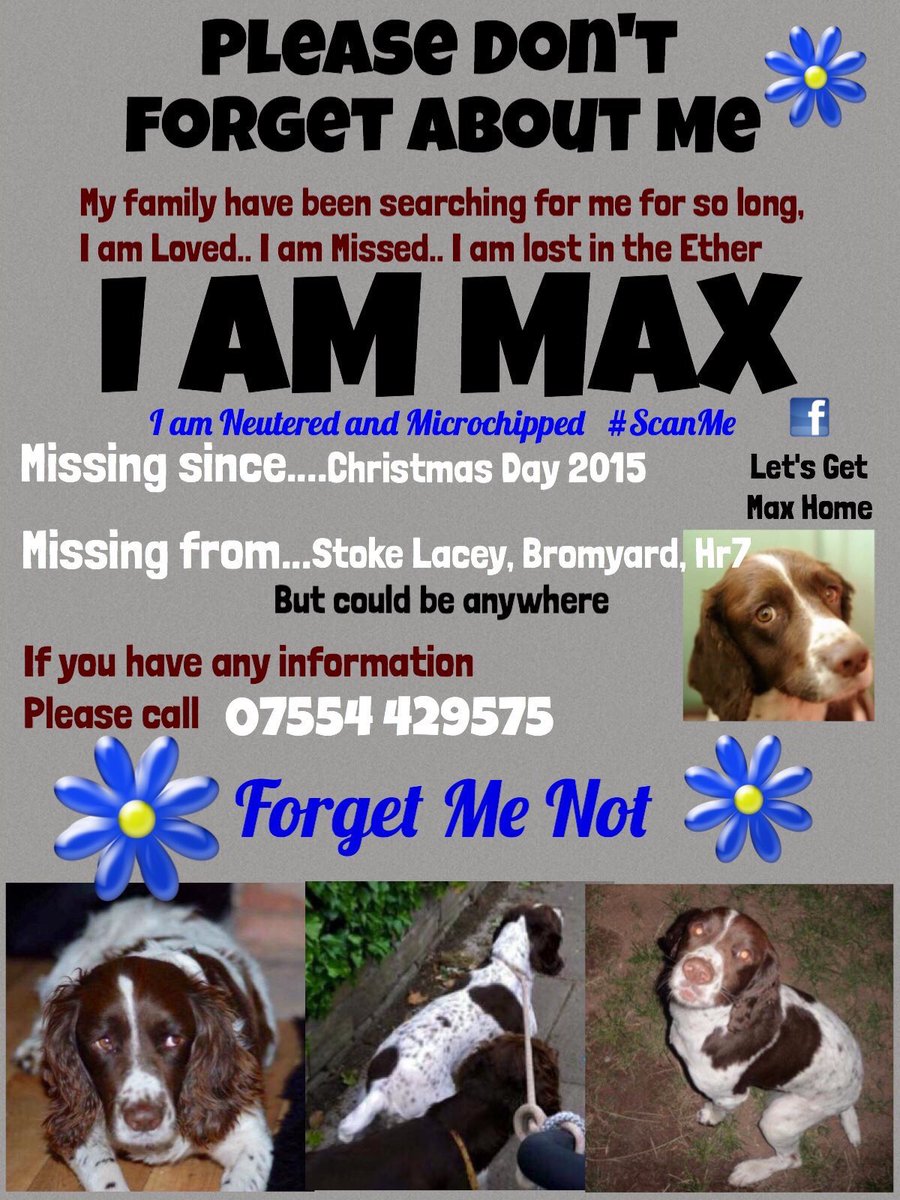 Please RT! #LetsGetMaxHome