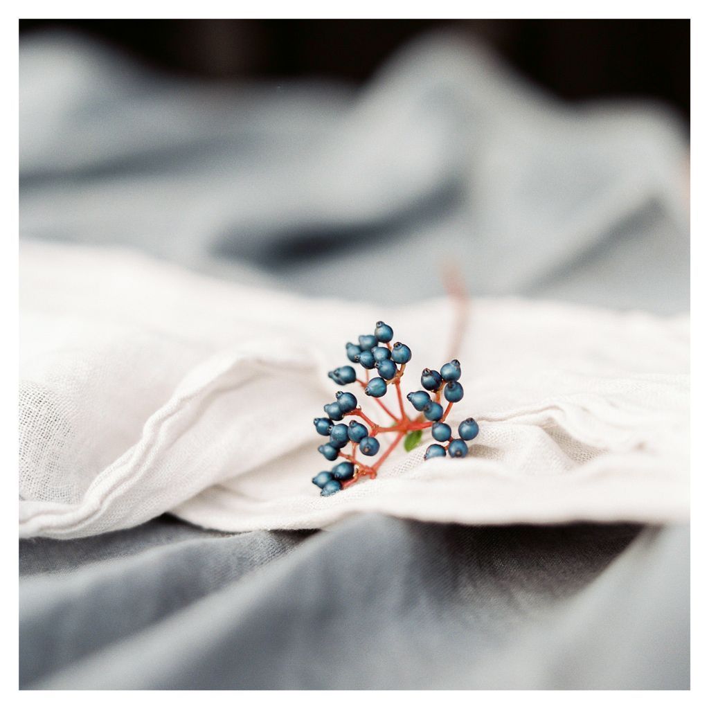 Effortless details for an autumn/winter look.

Styling: <a href="/kerrypltr/">Kerry Poulter</a>
Florals: <a href="/FionaPerry5/">Fiona Perry</a>
Linen: <a href="/thelinenworks/">The Linen Works</a>
Venue: <a href="/PrimroseHFarm/">Primrose Hill Farm</a>