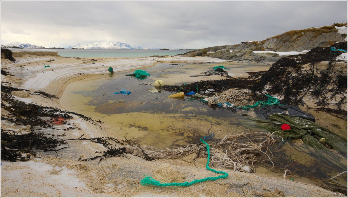 BoEide's tweet photo. A typical stretch of "pristine and #beautiful #Arctic #coastline". #Marinelitter comes in many forms and sizes. Around here #plastic #rope and #trawlnet pieces are the most abundant types by weight. https://t.co/Y8YH9HiHYw