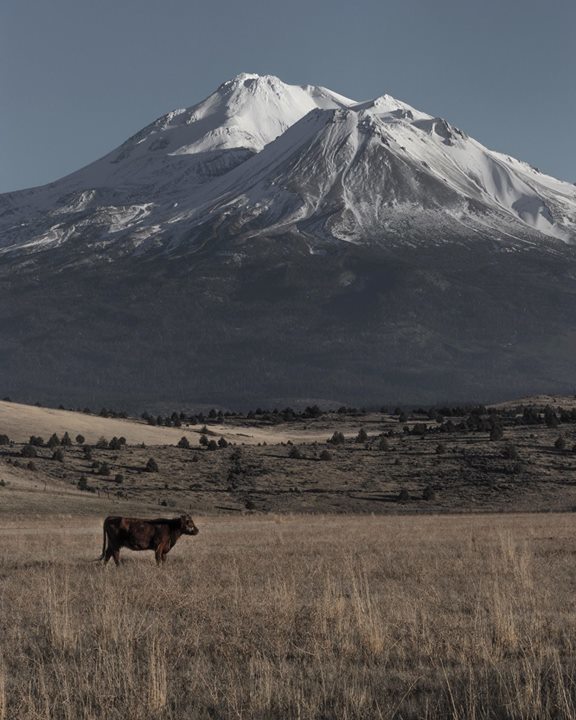 Mt. Shasta, CA, my first trip will not be my last [4000x6000]