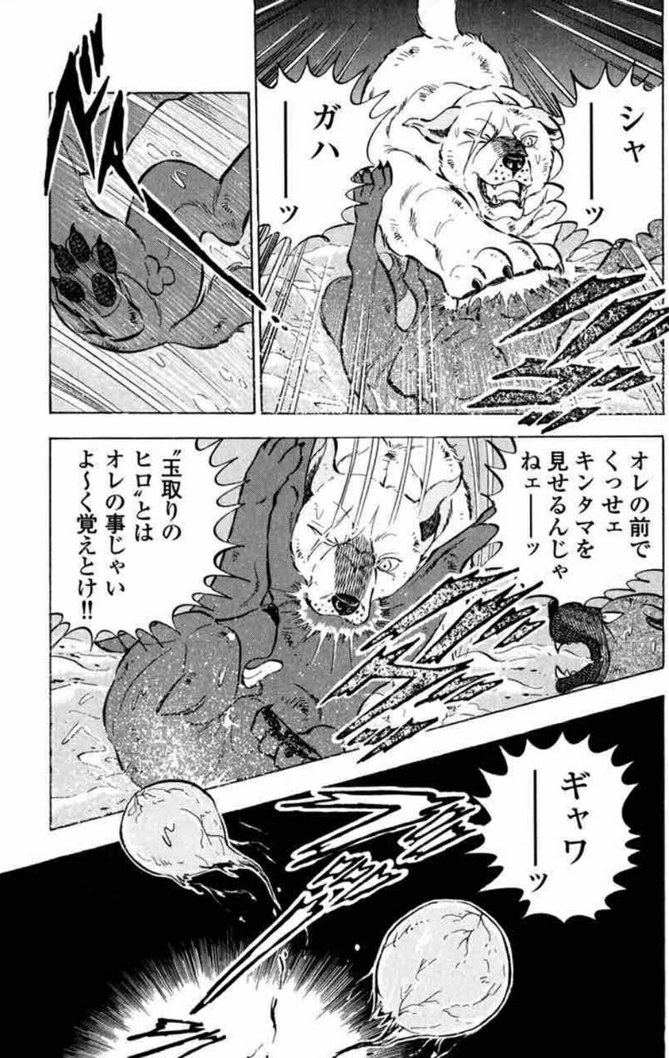 かずねこ 低浮上 こんな必殺技を見たのは じゃりんこ子チエの小鉄 以来 やわ ノ Www 今更ながら初見になります あの犬漫画の金字塔 銀牙 流れ星 銀 の正統続編 銀牙伝説weed 無料アプリで毎日楽しみに読んでます D 銀牙