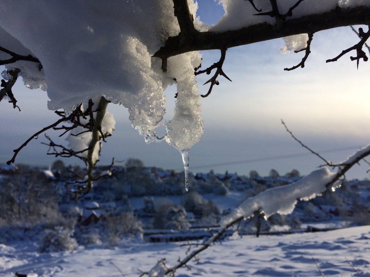 amazingict's tweet image. Snow code in 5 mins Use #snowcode plz