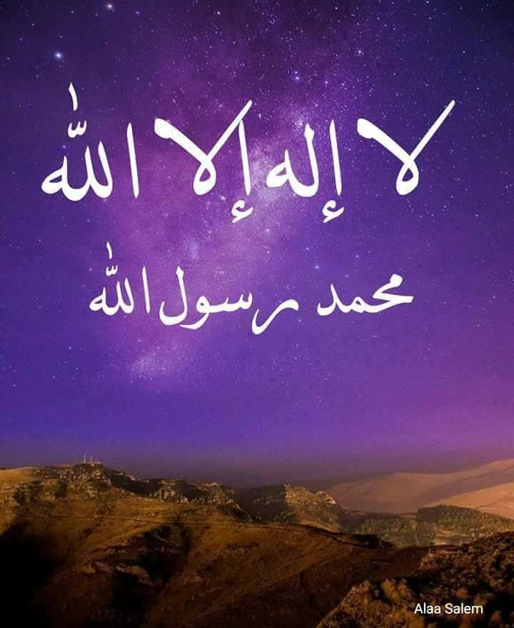 betaqaislamia's tweet image. لا إله إلا الله.. محمد رسول الله