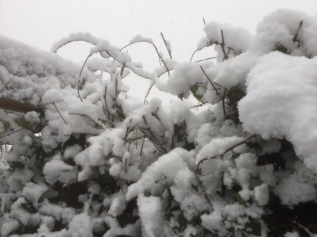 Het wintert goed door #zuiden #thuiswerken