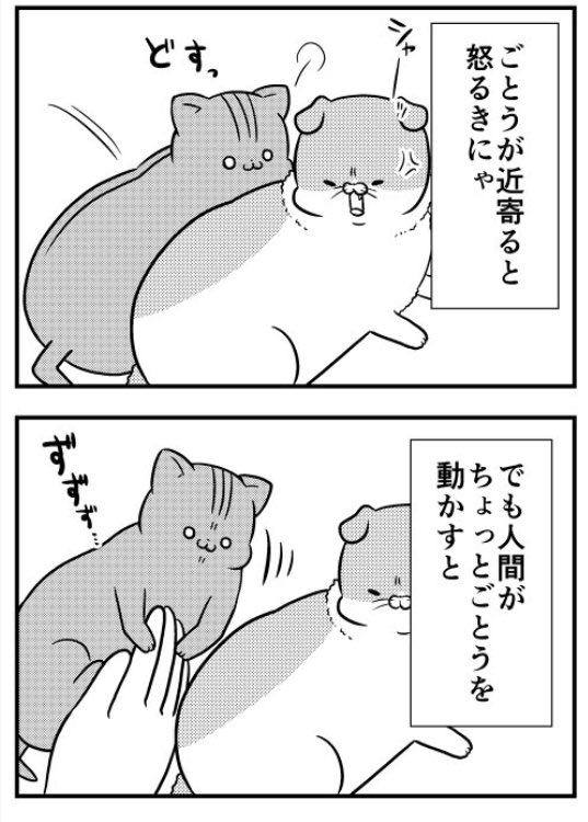 猫のきにゃと、ごとうさん(143) 変ににぶい  #マイナビニュース

更新されてたのに告知を忘れてました！ 