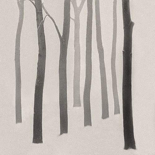 Michelle_PMM's tweet image. © Serdar Akin