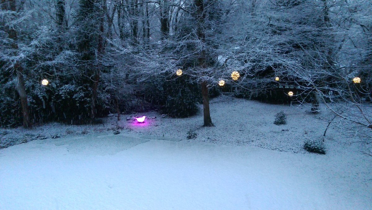 Anthea Harrison tweet media