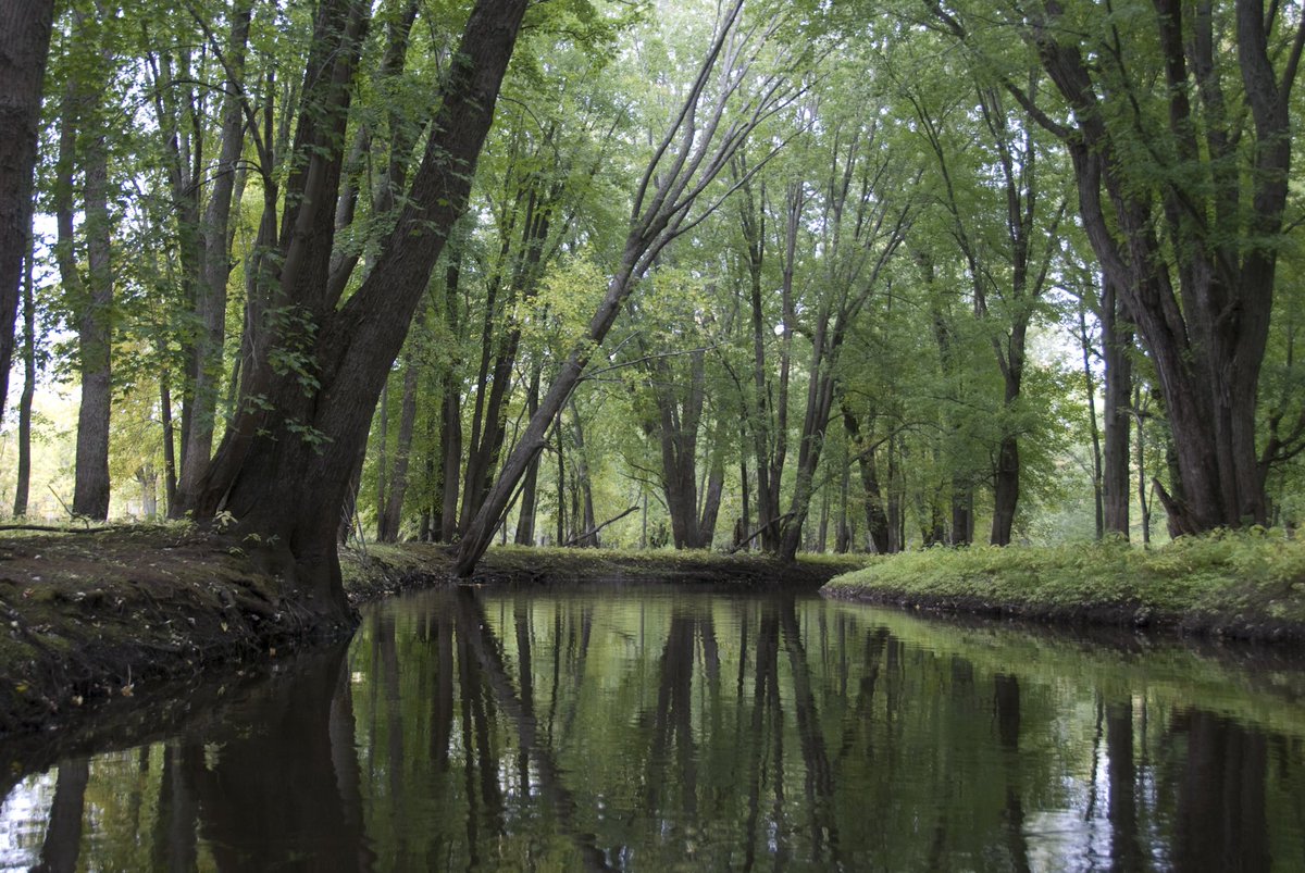 Show your support for #Greenbelt expansion to protect our #water, #wildlife and communities. Every voice matters. Sign the petition and RT: bit.ly/2kYXzSw <a href="/Earthroots/">Earthroots</a> <a href="/EcoSpark_Env/">EcoSpark</a> <a href="/STORMCoalition/">STORM Coalition</a>