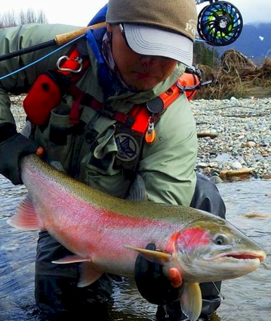 Book now for Spring Fishing Tours at Kitimat Lodge. 
Video: youtube.com/watch?v=h5Yt09…
Booking: kitimatlodge.com/booking