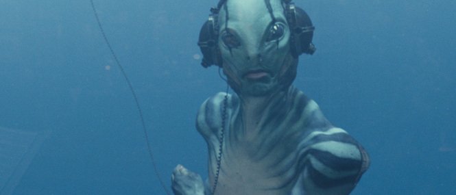 RealGDT's tweet image. A good day for Gill Men all over!