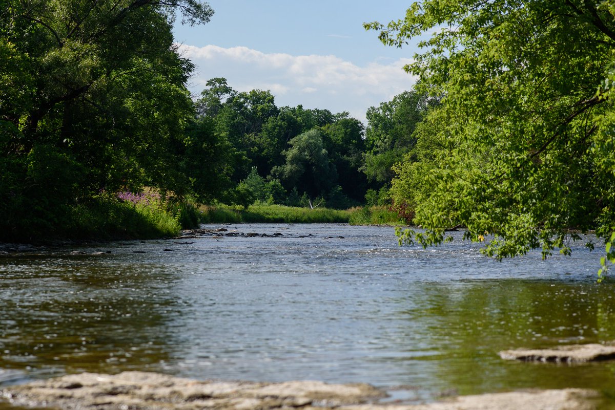 We now have a unique opportunity to protect precious #water features across the Greater Golden Horseshoe. Take action by signing our petition and RT: bit.ly/2jQPvQz <a href="/Earthroots/">Earthroots</a> <a href="/EcoSpark_Env/">EcoSpark</a> <a href="/STORMCoalition/">STORM Coalition</a>