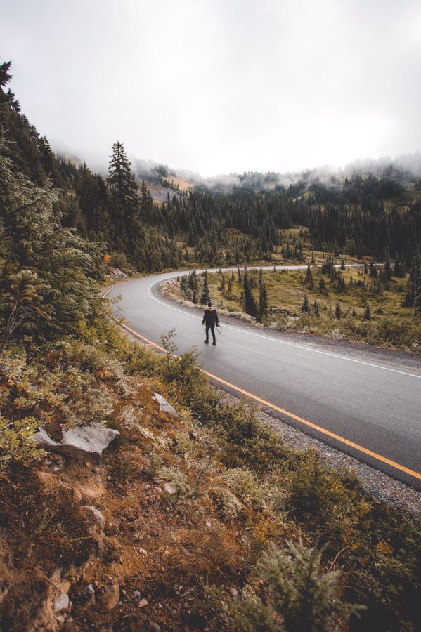 American Nomad tweet media