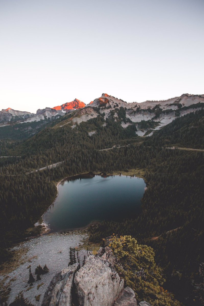 American Nomad tweet media