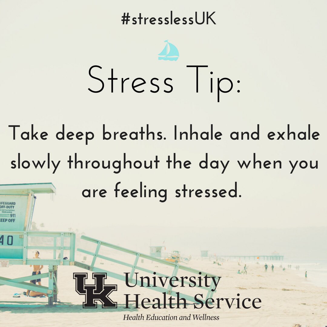 UHSPaws's tweet photo. #FinalsWeek We are here for you!!! #StressLessUK https://t.co/bX1WXD2RdX