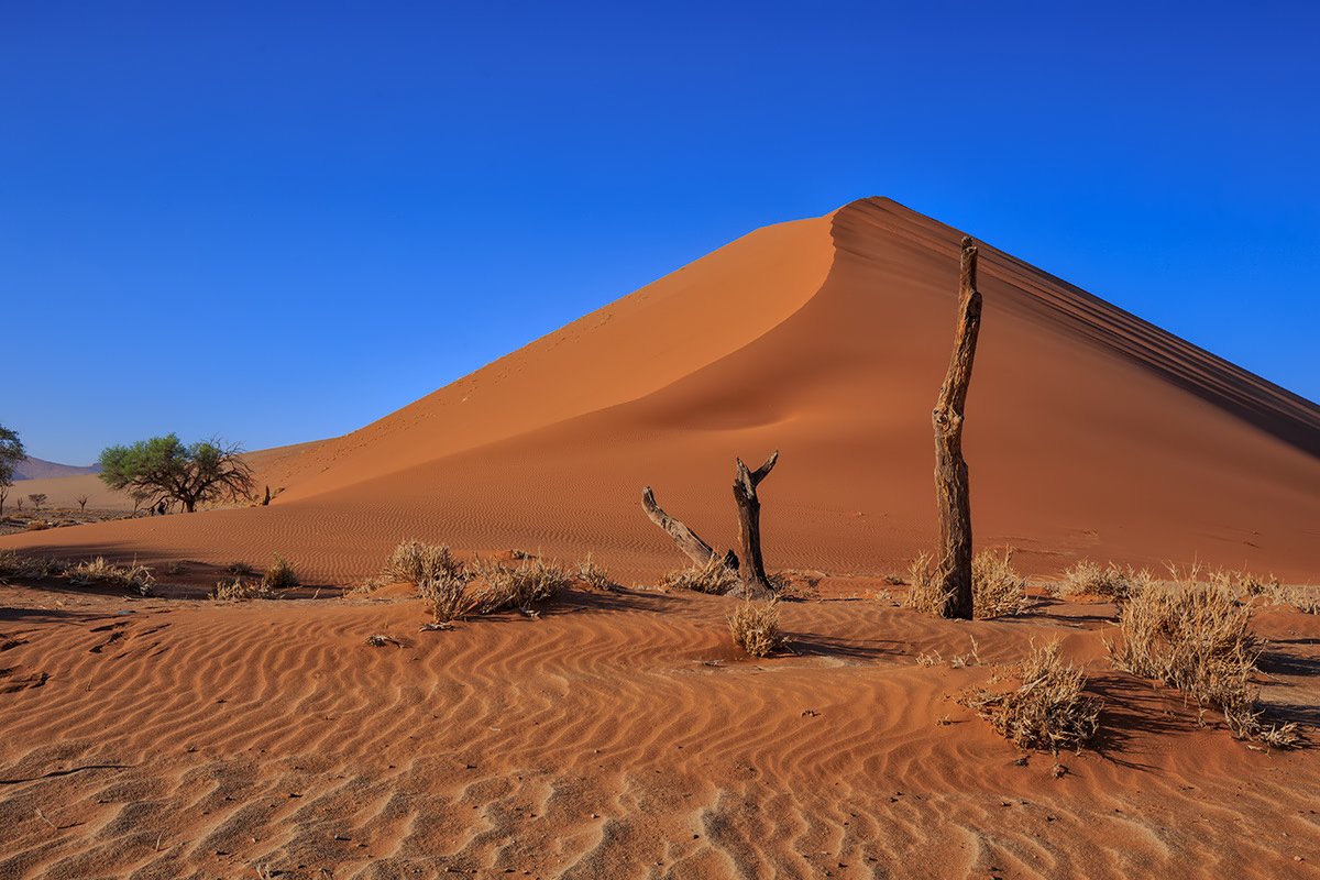 Le SAHARA, le plus grand désert du monde... - Page 2 DQx5MJ1VwAAZ3MA