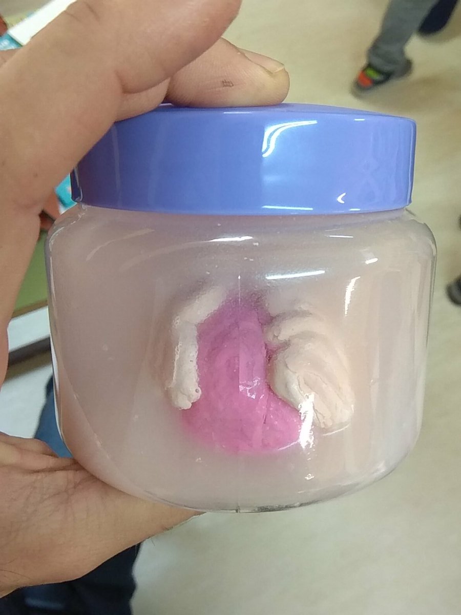 AldanCeip's tweet photo. Recreación en plastilina dun cerebro... fantástico traballo dos nenos de 1 e 2! https://t.co/h3nEKWjh9x