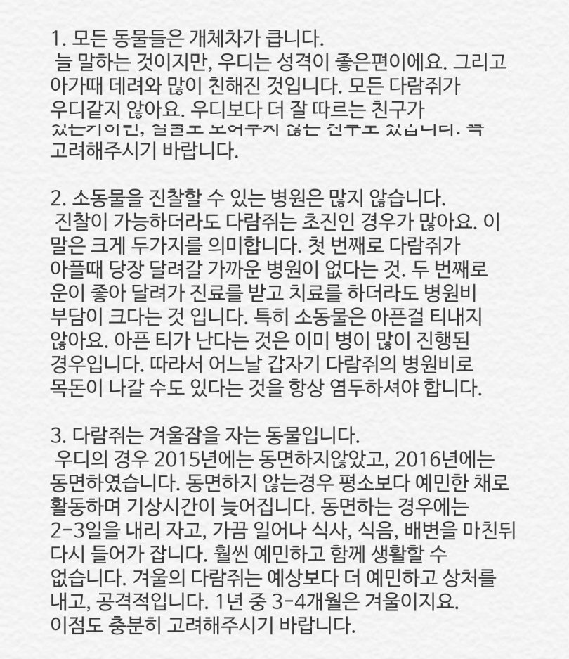 먹짱 다람쥐 우디 tweet media