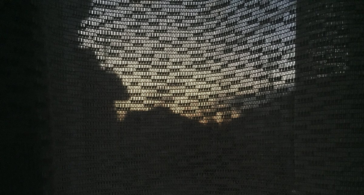 sumie_ram's tweet image. to look over the curtains‥