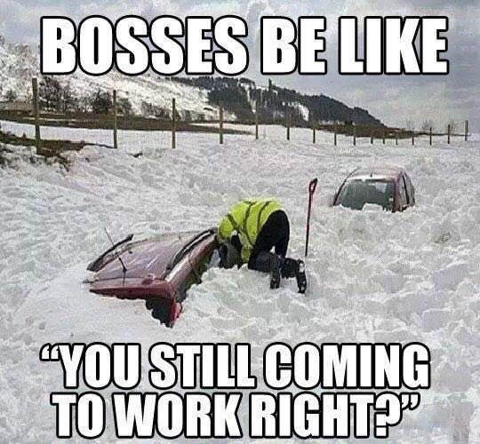 Securelets's tweet image. #snow #work #commute