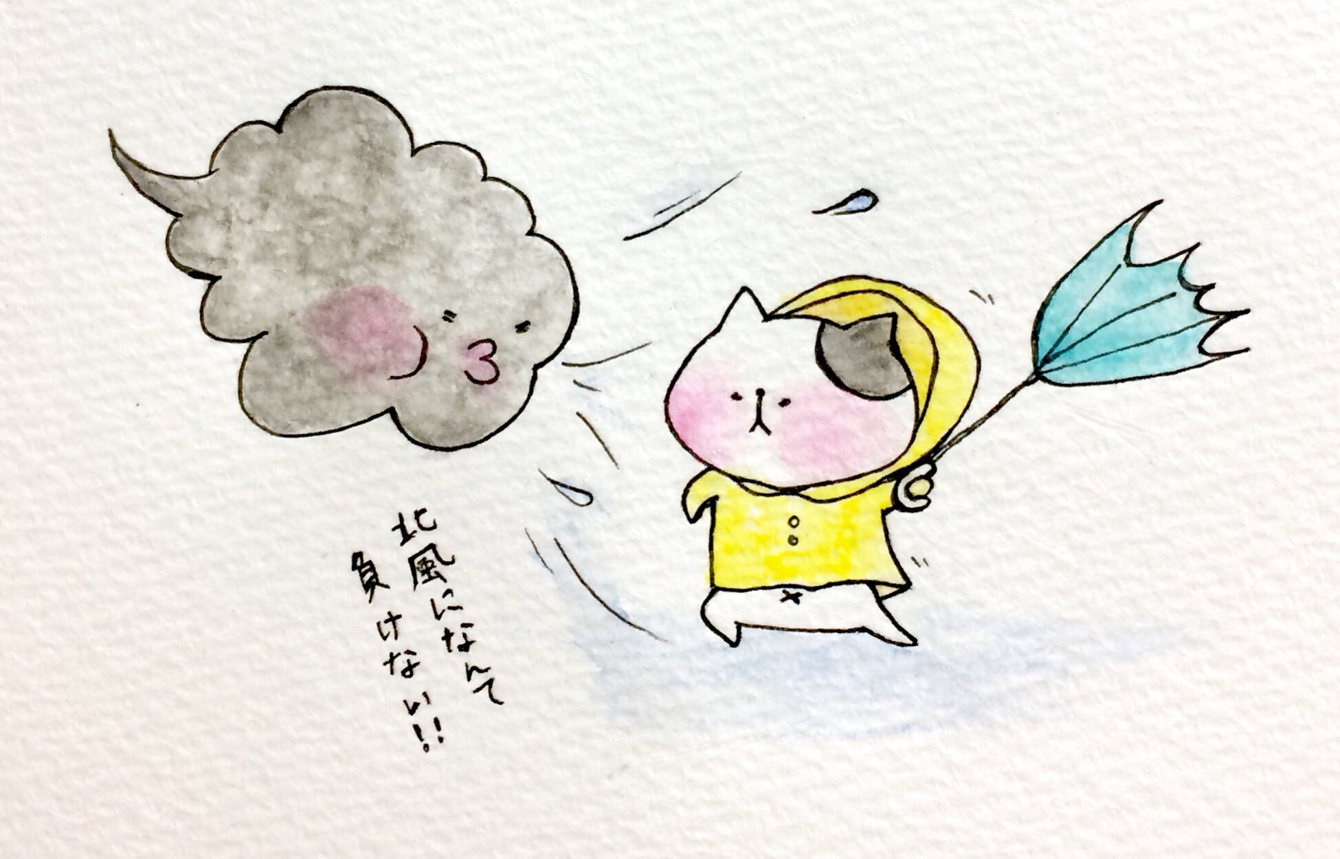 おこにゃん 北風になんて負けない 北風 負けない 寒いね 猫 ネコ ねこ イラスト 可愛い 1日1絵 手描き 癒し 絵描きさんと繋がりたい イラスト好きな人と繋がりたい Cats T Co H4lyaiebcz Twitter