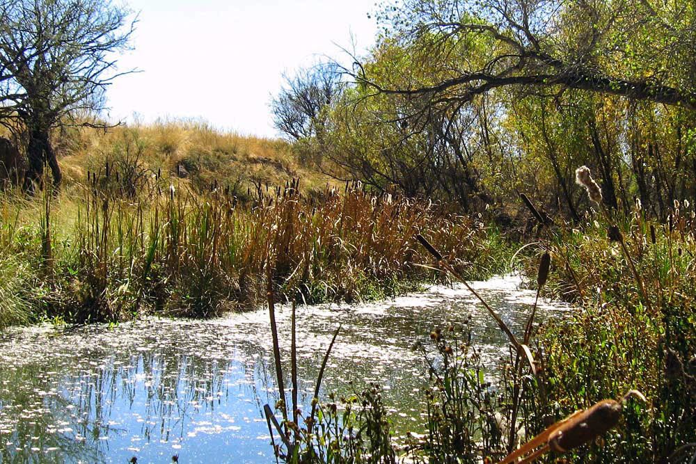 Inthecurrentaz's tweet image. The Santa Cruz Watershed Management Plan is Now Available - inthecurrent.org/fs/the-santa-c…