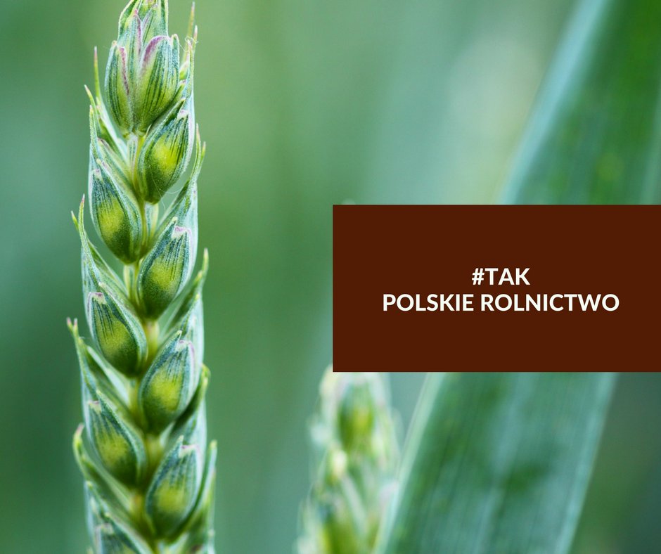 prawdaonorkach's tweet photo. EKOTerroryści po ataku na hodowców zwierząt futerkowych rozszerzają swój front 
o hodowców drobiu 👉👉  Wierzymy, że Ministerstwo Rolnictwa podejmie mądre 
i słuszne dla Polski decyzje ✌Ratujmy polską wieś 💥💥 
#TAK dla polskich hodowców https://t.co/MUIGGlvM9x