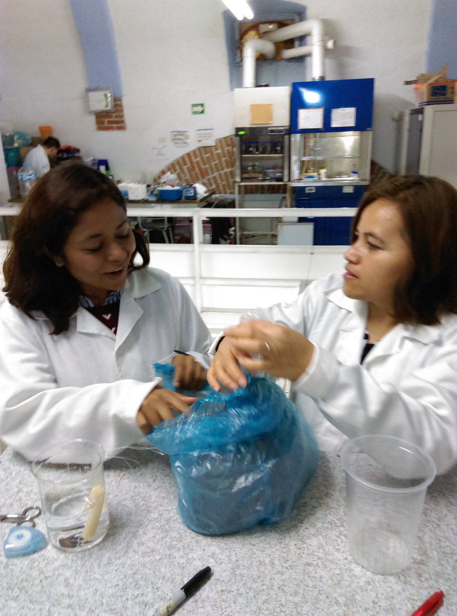 IPN_MX's tweet photo. #InvestigaciónIPN Modifican gen del #amaranto para potenciar su actividad antihipertensiva. #CIBA https://t.co/LIsNlSmk2M https://t.co/Fi6egg6wiU