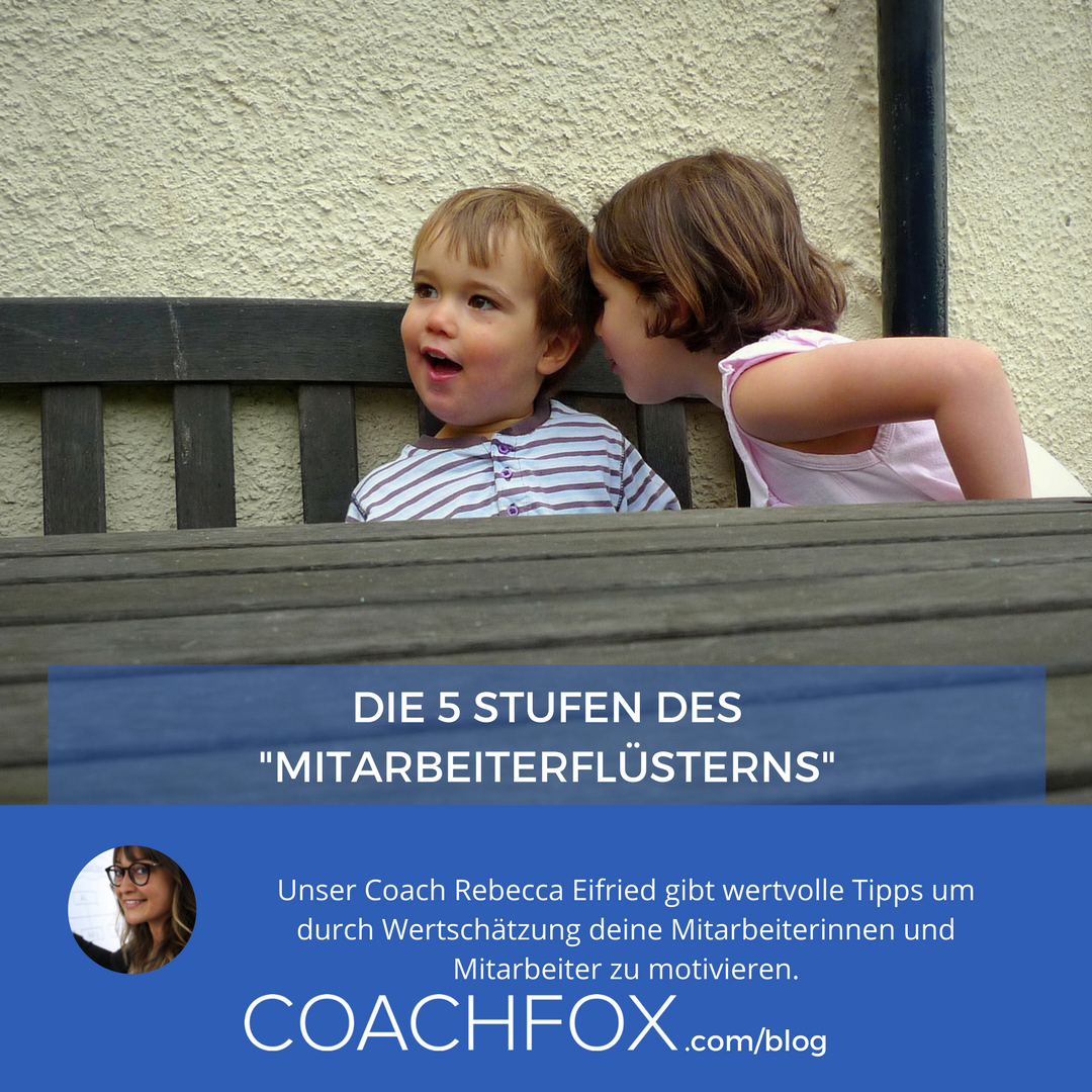 Pferdeflüsterer sind bekannt: Es sind #Menschen, die ein besonderes #Geschick und Feinfühligkeit besitzen, um mit #Pferden zu kommunizieren und sie zu führen. Und #Manager? Mehr zu den 5 wichtigsten Techniken in unserem #Blog. coachfox.com/die-5-stufen-d…