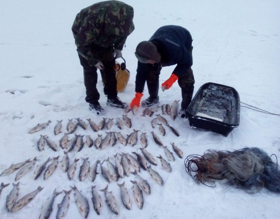 Лосось прогноз клева в Ненецком АО, г Нарьян-Мар на завтра, на неделю, на 10 дней