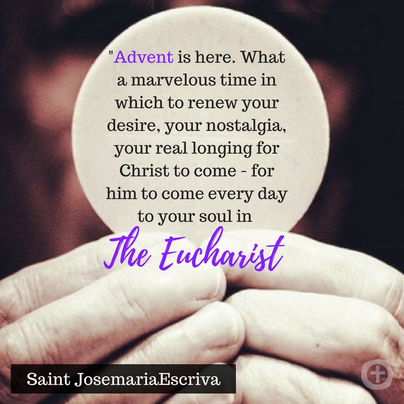 Sponsorgrams1's tweet image. #Advent #Catholic #Eucharist