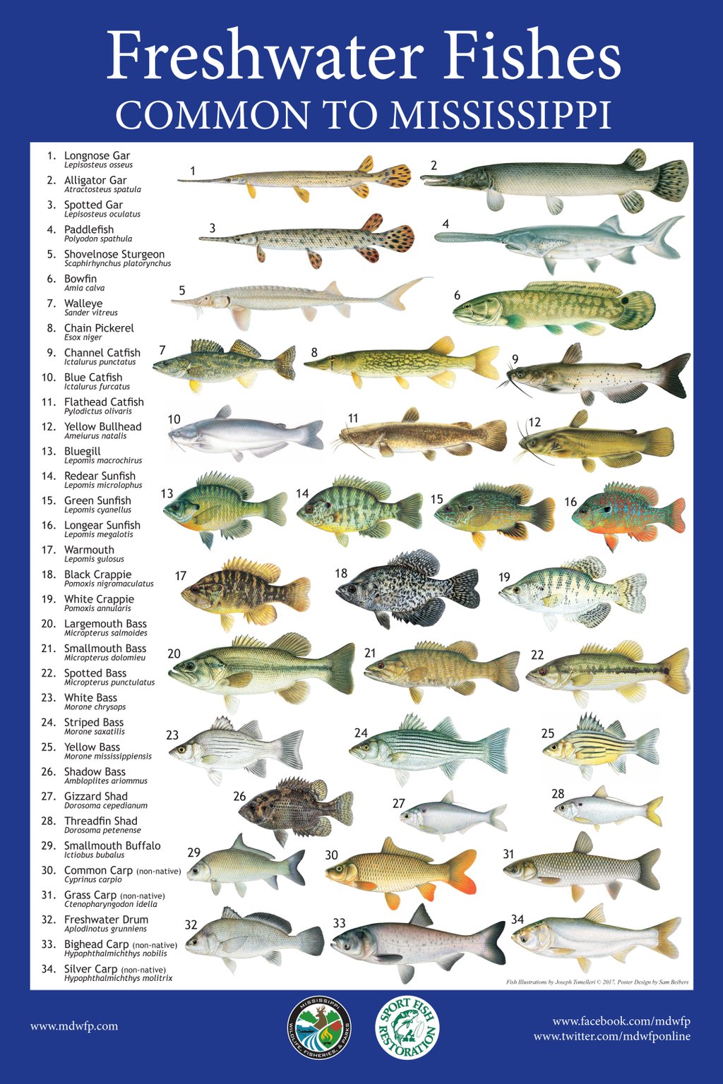 MDWFP on X: Show your love for fishing with this educational