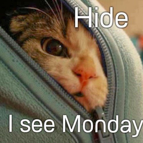 lymecrayon's tweet photo. #IHateMondays https://t.co/tTxwaD8P09