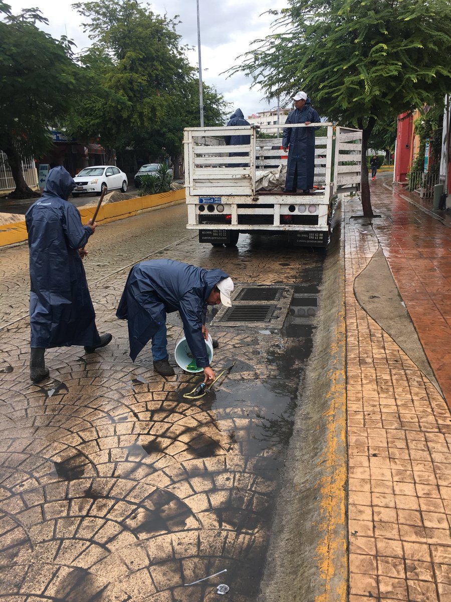 ParquesBJ's tweet photo. Instruye el Presidente @rembertoestrada al Director de Servicios Públicos @jlcgcachorro realizar limpieza preventiva de rejillas en dirigentes puntos de la ciudad.

@RogerEspinosaR @AytoCancun   @infoturquesa @ENLACERFQR https://t.co/3pNYVkbwMT