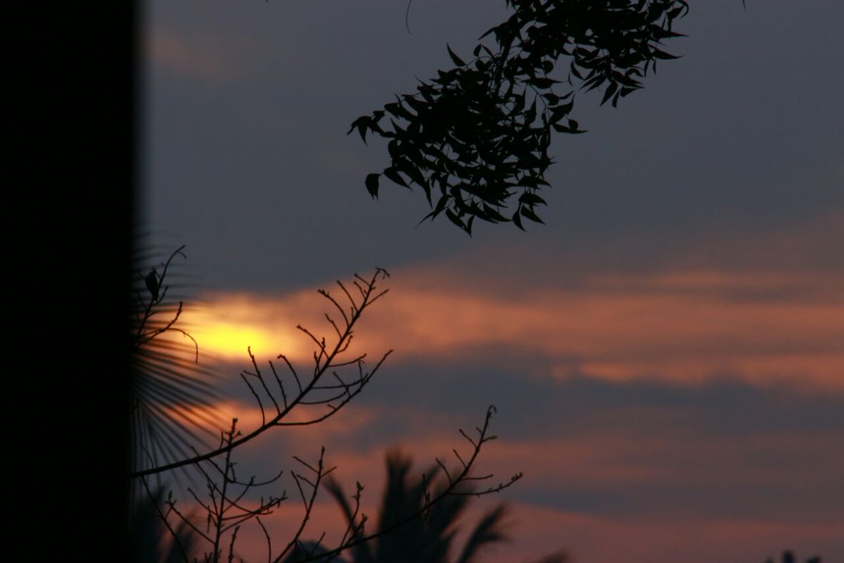 techfest2k17's tweet image. Contest Name : Photography 
Contestant Number :  3
Contestant Name : D LOHIT