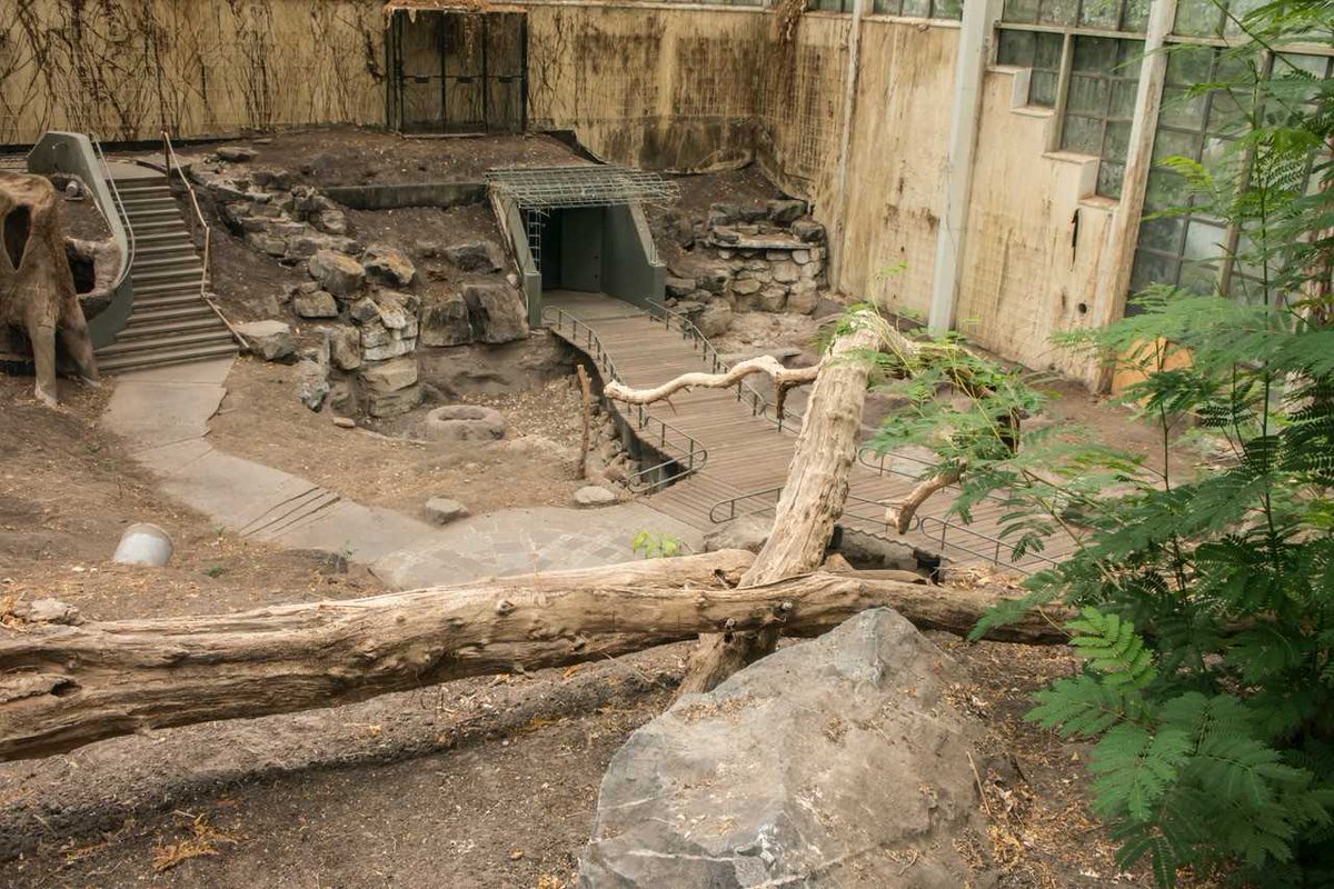 Drenthenaren's tweet image. De 3e #Droneracebaan van de wereld in #Emmen zoekt nog #postapocalyptische spullen. Denk aan oud ijzer, gebruikte vaten, kisten, borden, oude stoffige materialen/gebruiksvoorwerpen, een sloopauto, een oude piano, etc. PB met foto(s) kan naar @Toolboxemmen