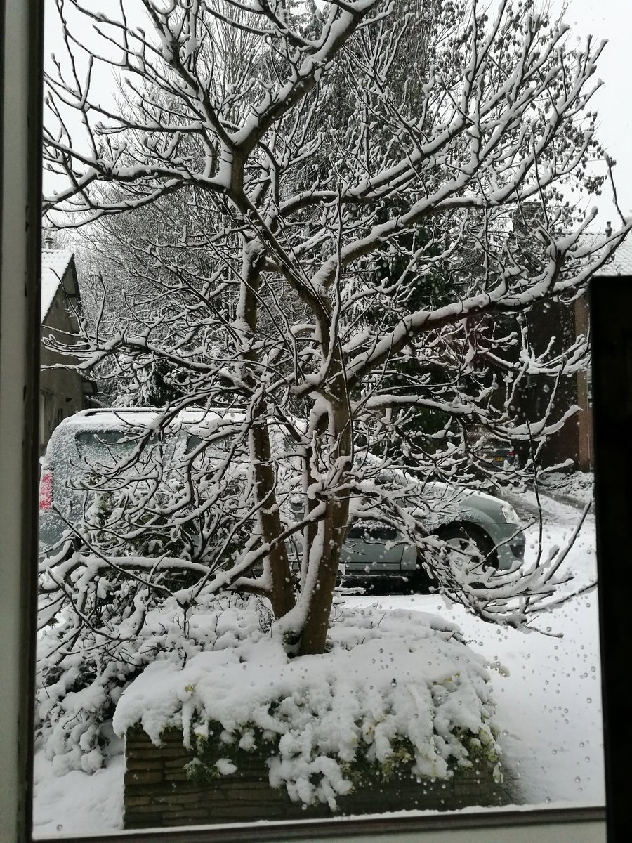 BullDutch's tweet image. Love this weather, sitting att home enjoying the warmth of the fireplace