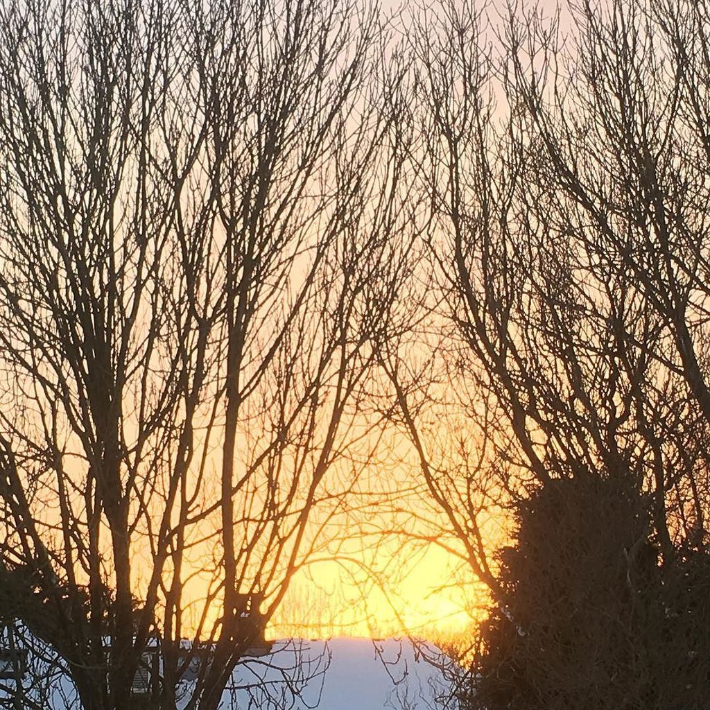 BitesizedBerko's tweet photo. The #snow has finally stopped and now the lovely #sunset #chilterns #berkhamsted #winter #winterwonderland https://t.co/qx3ebqEHWx https://t.co/OgoeUJSZa7