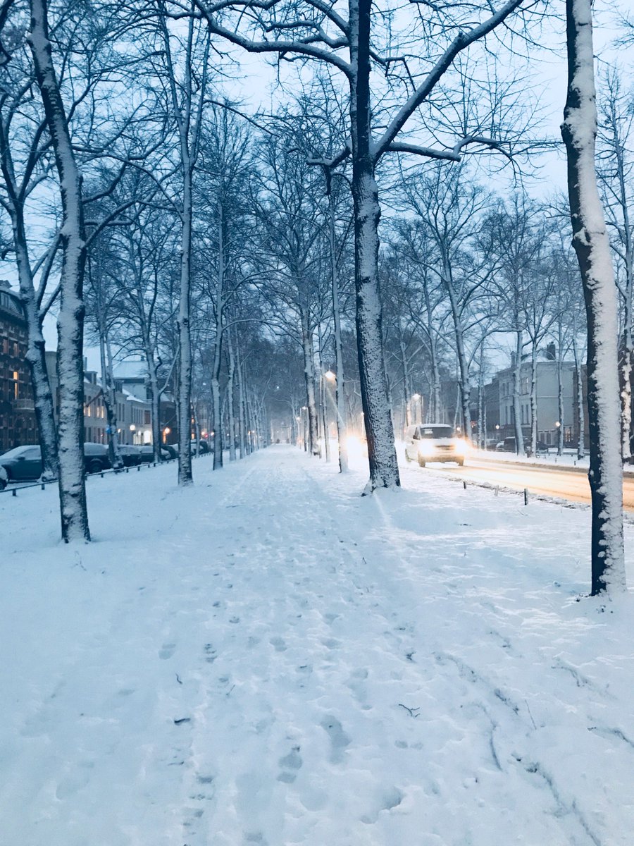 toogethr's tweet photo. Buiten ziet het compleet wit van de sneeuw en daarom kan een rit naar huis lang duren.. Met wie stappen jullie in de auto om deze tijd door te komen? #samenrijden #Toogethr #winterweer https://t.co/rQgwGy13G4