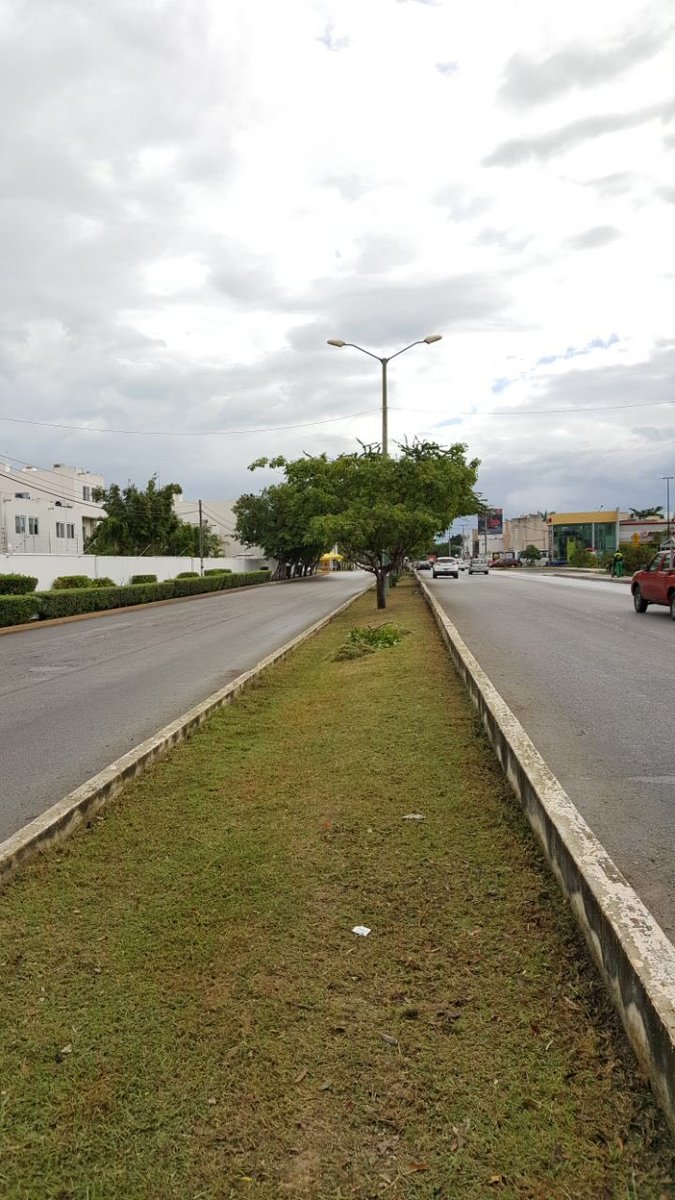 #BrigadasVerdes realizan trabajos de limpieza y chapeo del camellon Av. Nichupte de Av. La Luna a la Av. Industrial #NoPararemos

<a href="/rembertoestrada/">Remberto Estrada</a> <a href="/jlcgcachorro/">jlcg cachorro</a> <a href="/RogerEspinosaR/">Roger EsPro</a> <a href="/infoturquesa/">Turquesa News</a>