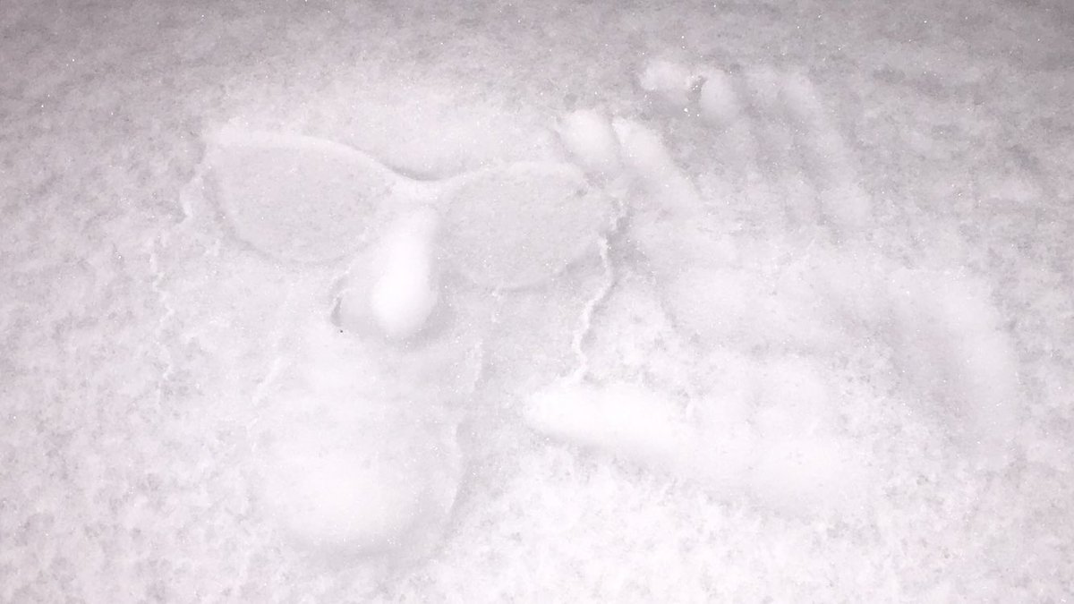 pienankerman's tweet image. Moest m zelf ook even proberen. #frisgezicht #greetings #vergeetdeflitsniet