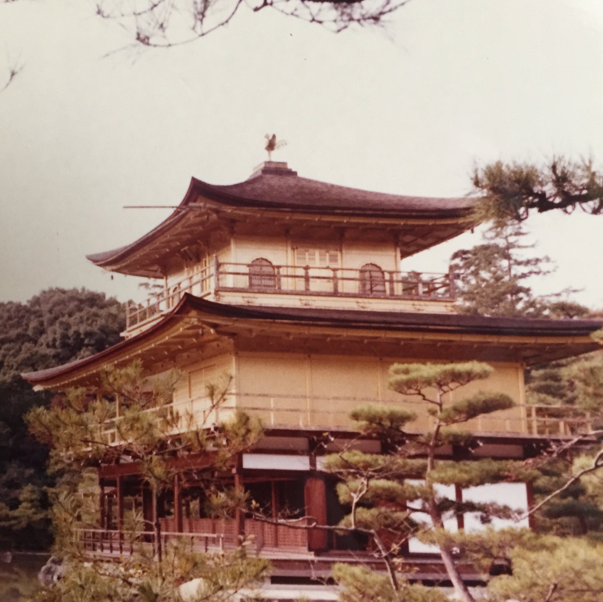 うじじ 鹿苑寺 金閣 ろくおんじ 金閣寺 燃える前の金閣 相国寺境外子院 明治時代には何度か造作をやり替えている 西陣織 の金閣 2代目金閣 金箔張り替え前 うじじ 鹿苑寺 金閣 ろくおんじ 金閣寺 燃える前の金閣 相国寺境外子院 明治時代には何度か造作をやり替えている 西陣織 の金閣 2代目金閣 金箔張り替え前